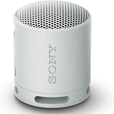 Sony XB100 | 2.0 | Cinza claro