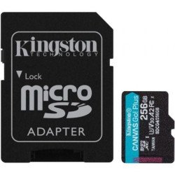Kingston CANVAS Go! Plus 256 GB com adaptador | Classe 10 | 200 MB | sim